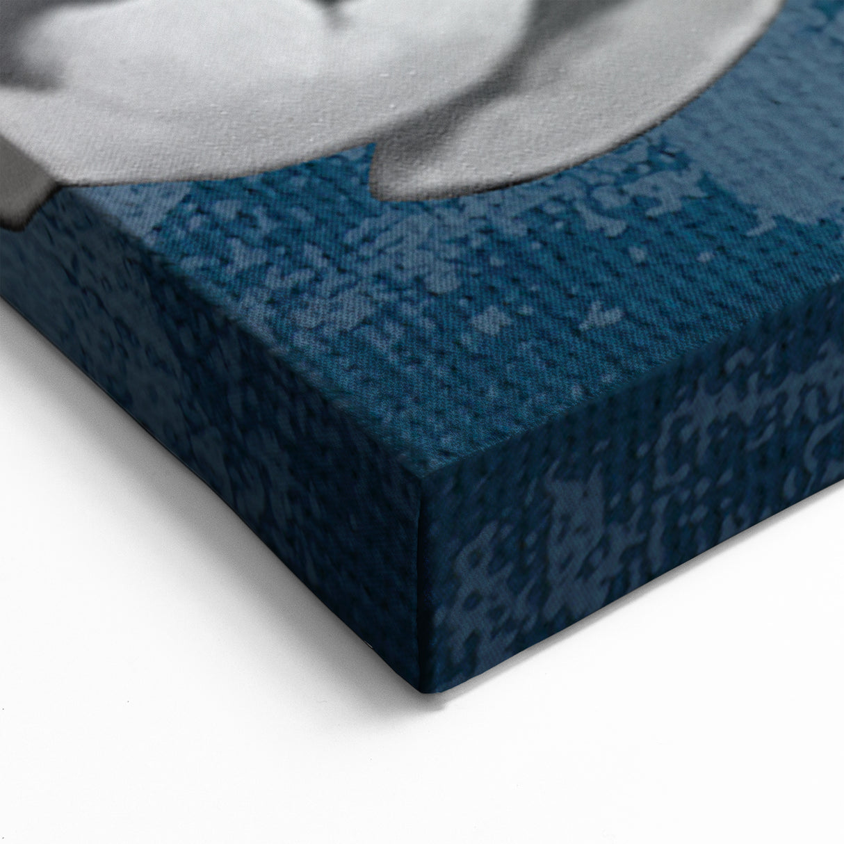 Monochrome Floral Art on Teal Abstract Background