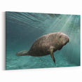 Manatee Wall Art - Tranquil Marine Life Decor - Canvas, Framed & Acrylic