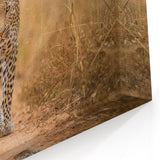 Majestic Leopard Wall Art - Exotic Leopard Canvas Print