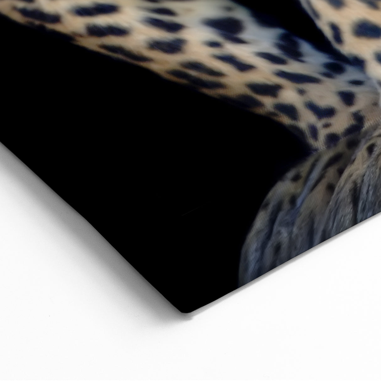 Leopard Framed Art - Majestic Wildlife Canvas Print