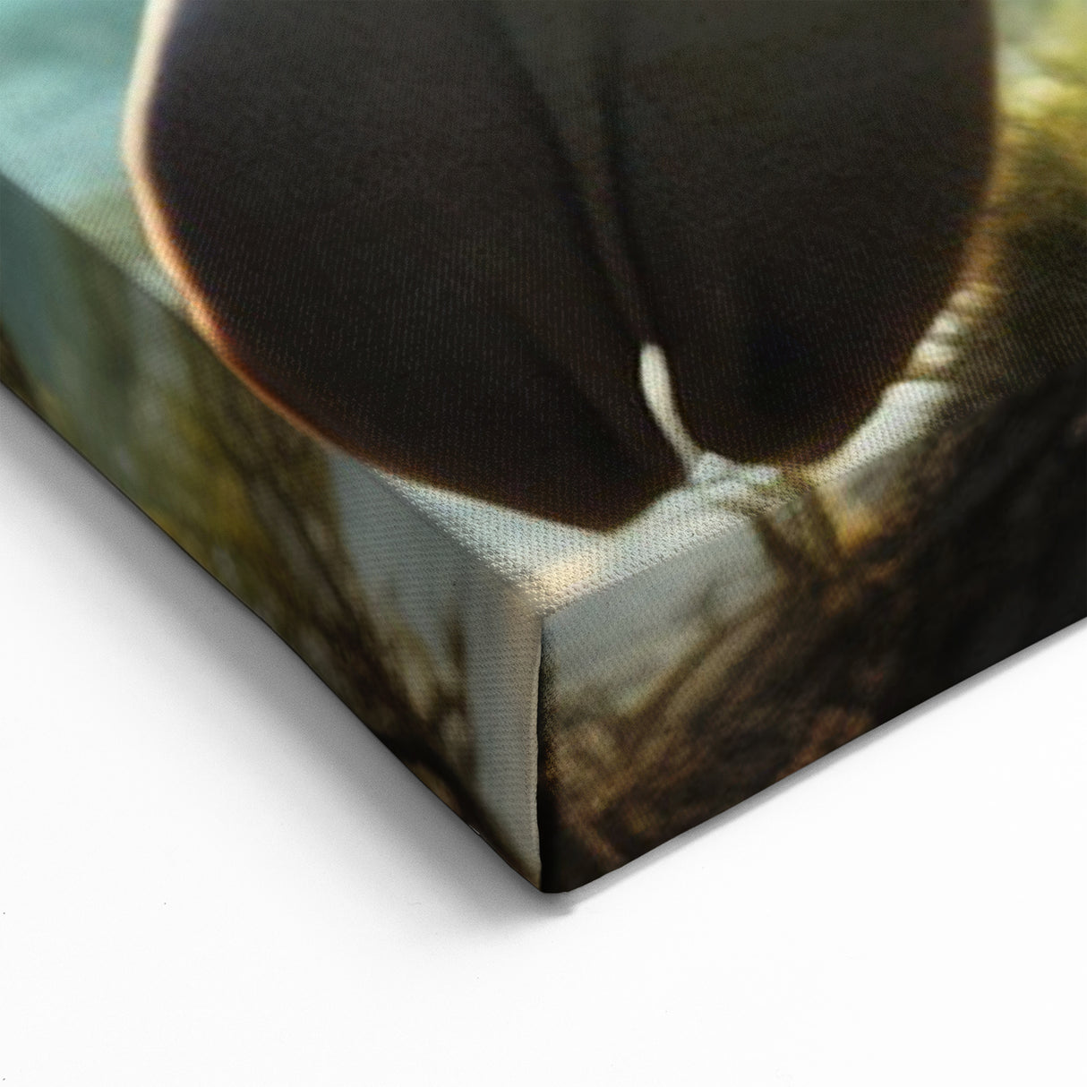 Manatee Canvas Print - Peaceful Coastal Decor - Framed & Acrylic Options