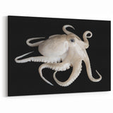 Elegant White Octopus Wall Art - Unique Marine Life Decor for Your Space