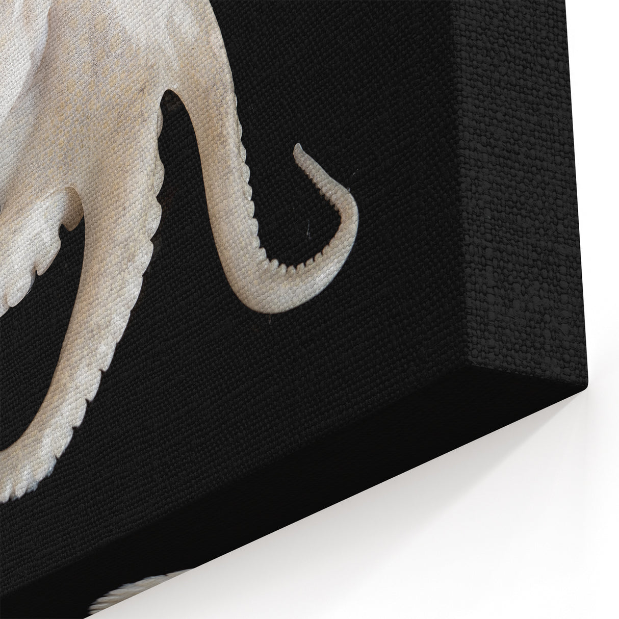 Elegant White Octopus Wall Art - Unique Marine Life Decor for Your Space
