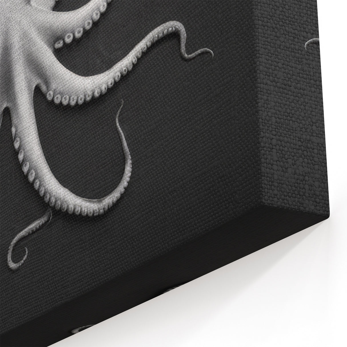 Monochrome Octopus Wall Art - Bold Marine Life Decor in Black & White