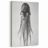 Minimalist Octopus Wall Art - Elegant Black & White Marine Life Decor