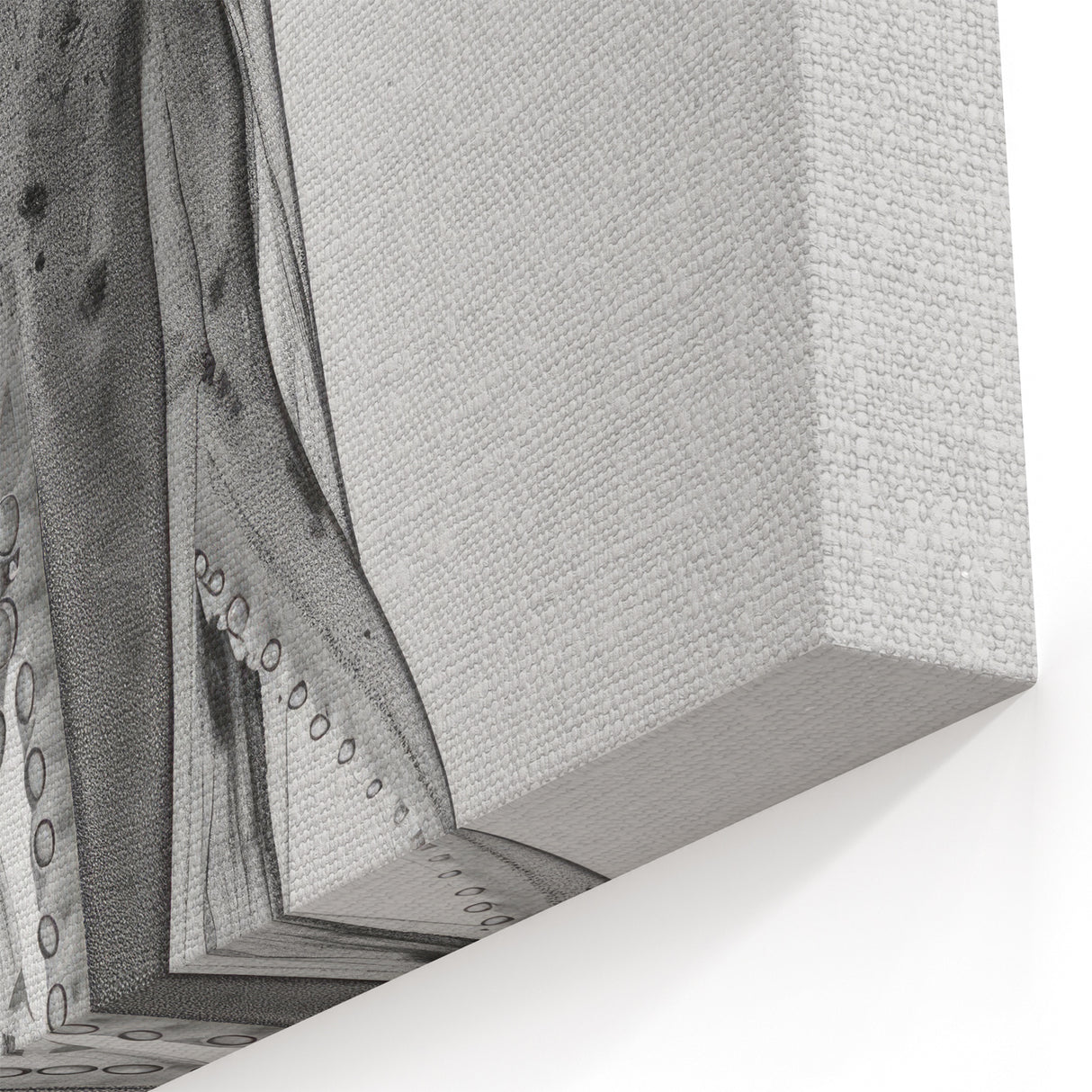 Minimalist Octopus Wall Art - Elegant Black & White Marine Life Decor