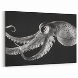 Graceful Octopus Wall Art - Sleek Black & White Marine Life Decor
