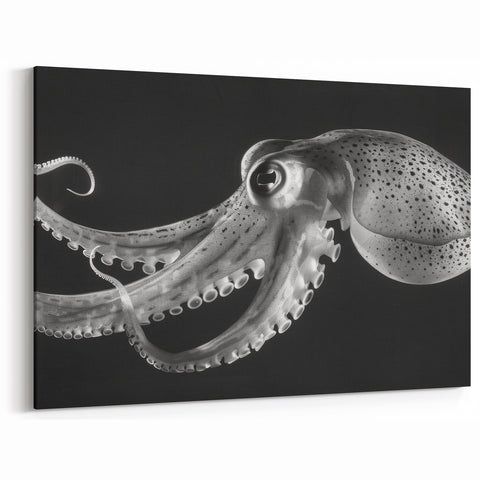 Graceful Octopus Wall Art - Sleek Black & White Marine Life Decor