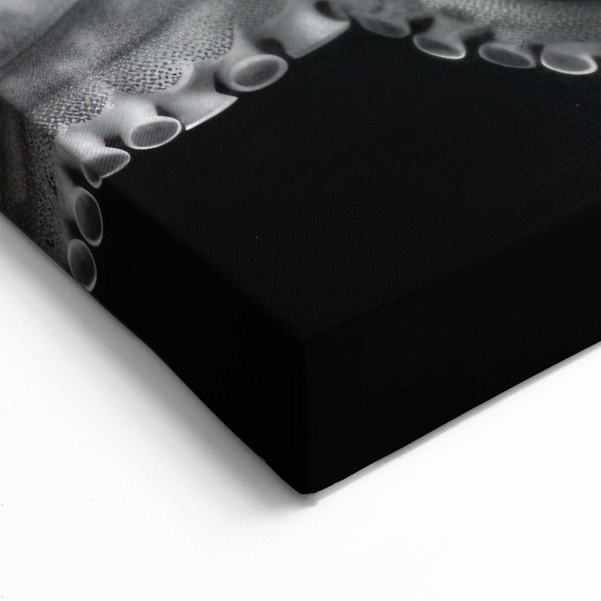 Graceful Octopus Wall Art - Sleek Black & White Marine Life Decor