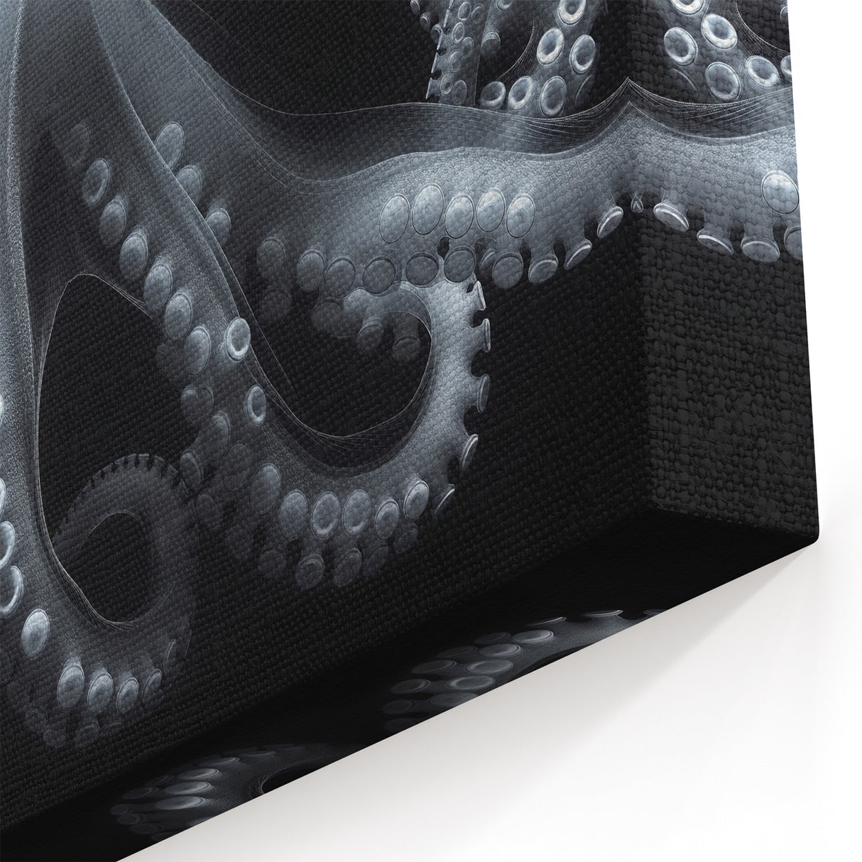 Ethereal Octopus Wall Art - Detailed Black & White Marine Life Decor