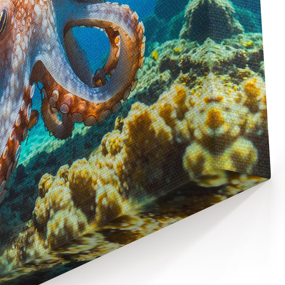 Vibrant Octopus Wall Art - Lively Marine Life Decor for Ocean Enthusiasts