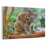 Koala Canvas Print - Adorable Mother and Baby Wildlife Wall Art Decor