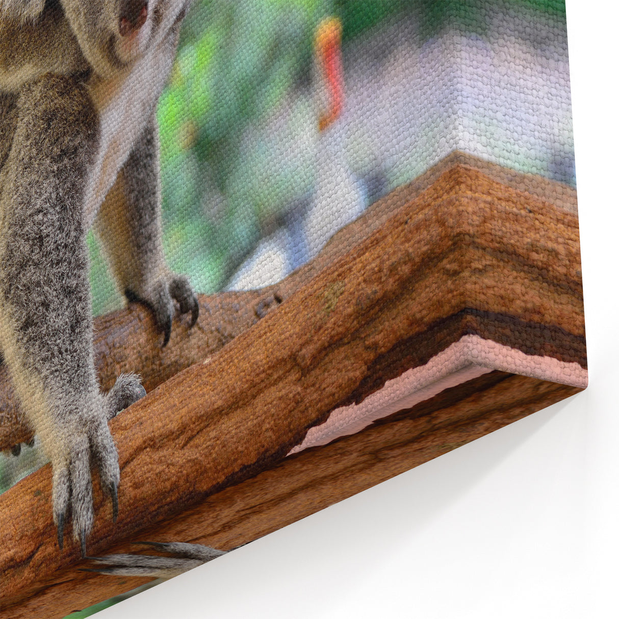 Koala Canvas Print - Adorable Mother and Baby Wildlife Wall Art Decor