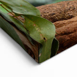 Koala Canvas Print - Adorable Mother and Baby Wildlife Wall Art Decor