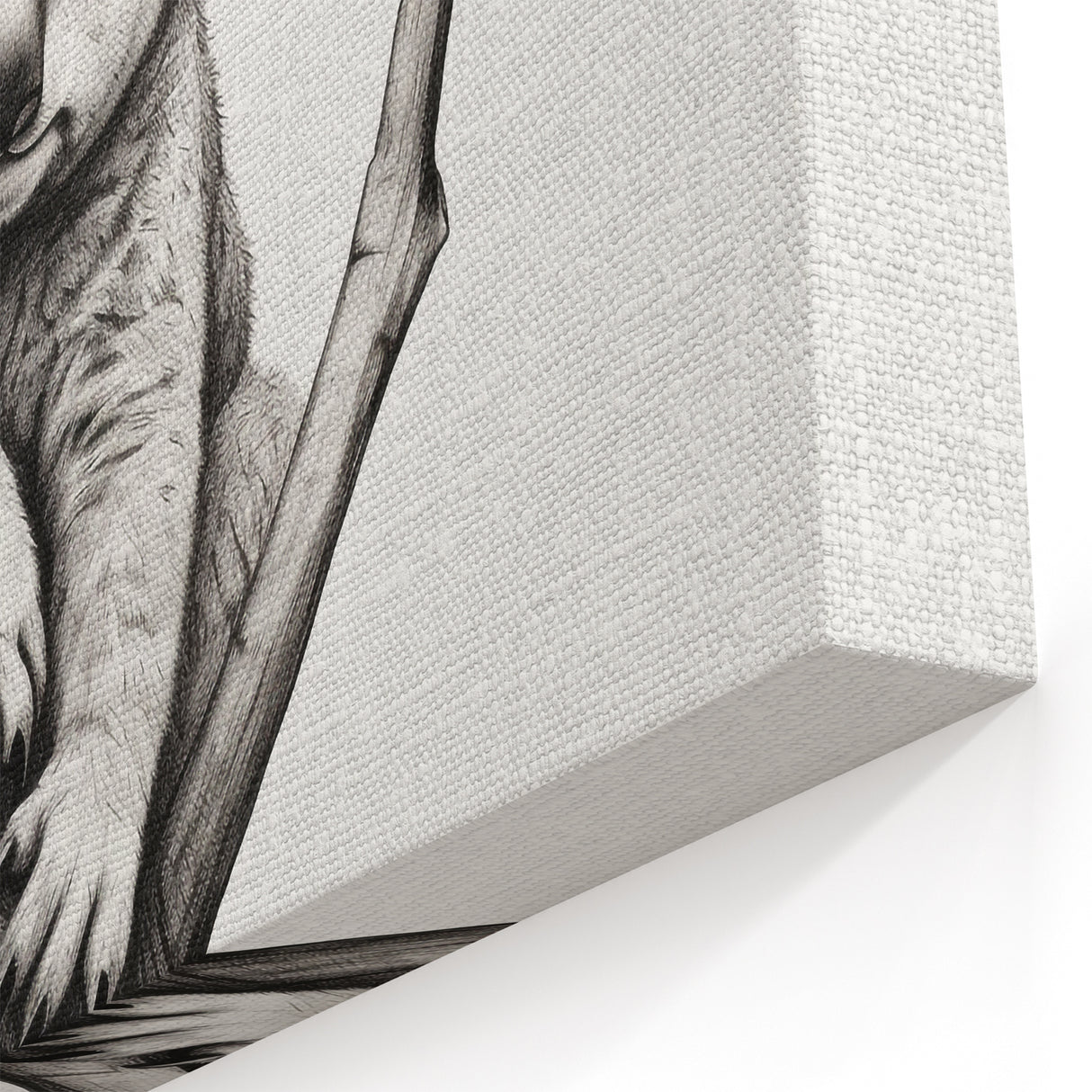 Koala Wall Art - Cute Australian Wildlife Canvas Print for Nursery Decor