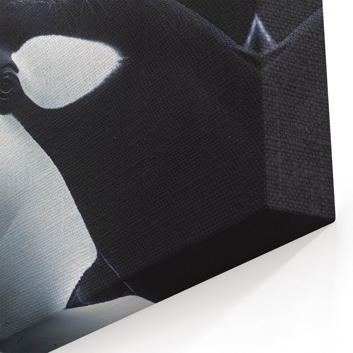 Striking Orca Wall Art - Black and White Ocean Life Canvas & Print Decor