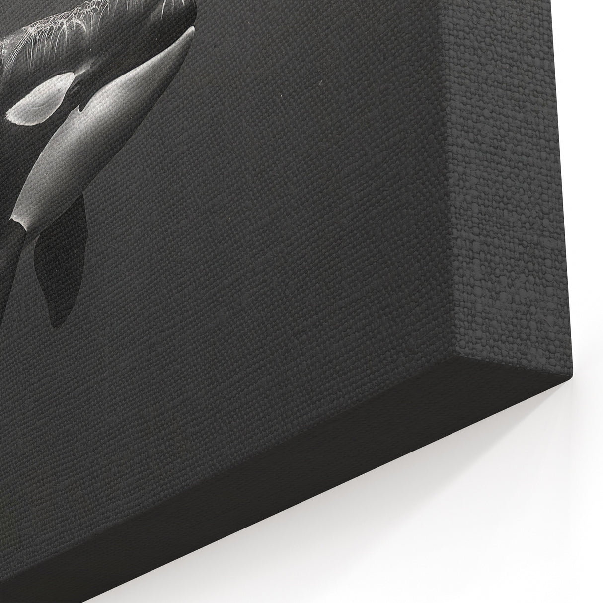 Monochrome Orca Wall Art - Elegant Ocean Life Canvas & Print Decor