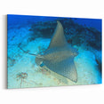 Elegant Ray Wall Art - Stunning Marine Life Canvas & Framed Prints