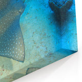 Elegant Ray Wall Art - Stunning Marine Life Canvas & Framed Prints