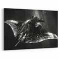 Striking Ray Wall Art - Black & White Marine Life Canvas Print