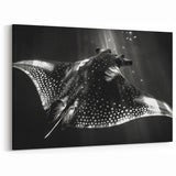 Striking Ray Wall Art - Black & White Marine Life Canvas Print