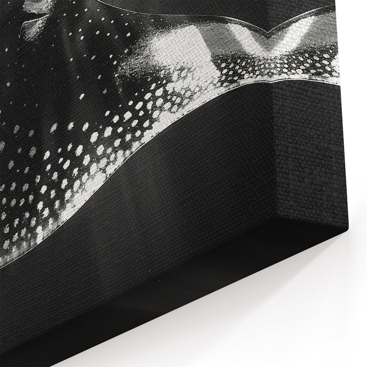 Striking Ray Wall Art - Black & White Marine Life Canvas Print