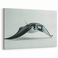 Sleek Ray Wall Art - Minimalist Marine Life Canvas & Framed Prints