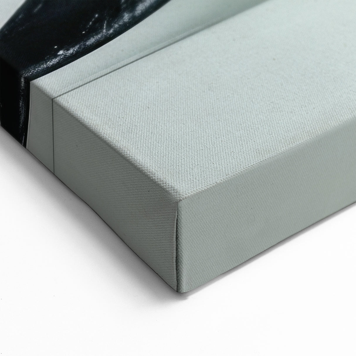 Sleek Ray Wall Art - Minimalist Marine Life Canvas & Framed Prints