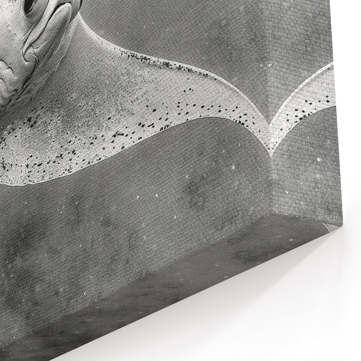 Elegant Ray Wall Art - Monochrome Marine Life Canvas & Framed Prints