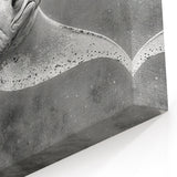 Elegant Ray Wall Art - Monochrome Marine Life Canvas & Framed Prints