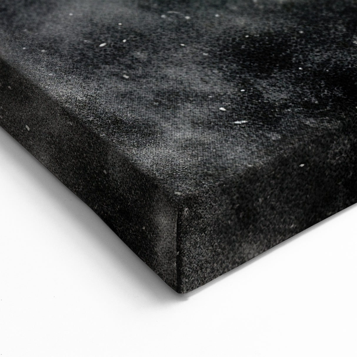 Elegant Ray Wall Art - Monochrome Marine Life Canvas & Framed Prints