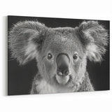Koala Acrylic Glass Art - Elegant Black & White Wildlife Photography
