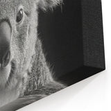 Koala Acrylic Glass Art - Elegant Black & White Wildlife Photography