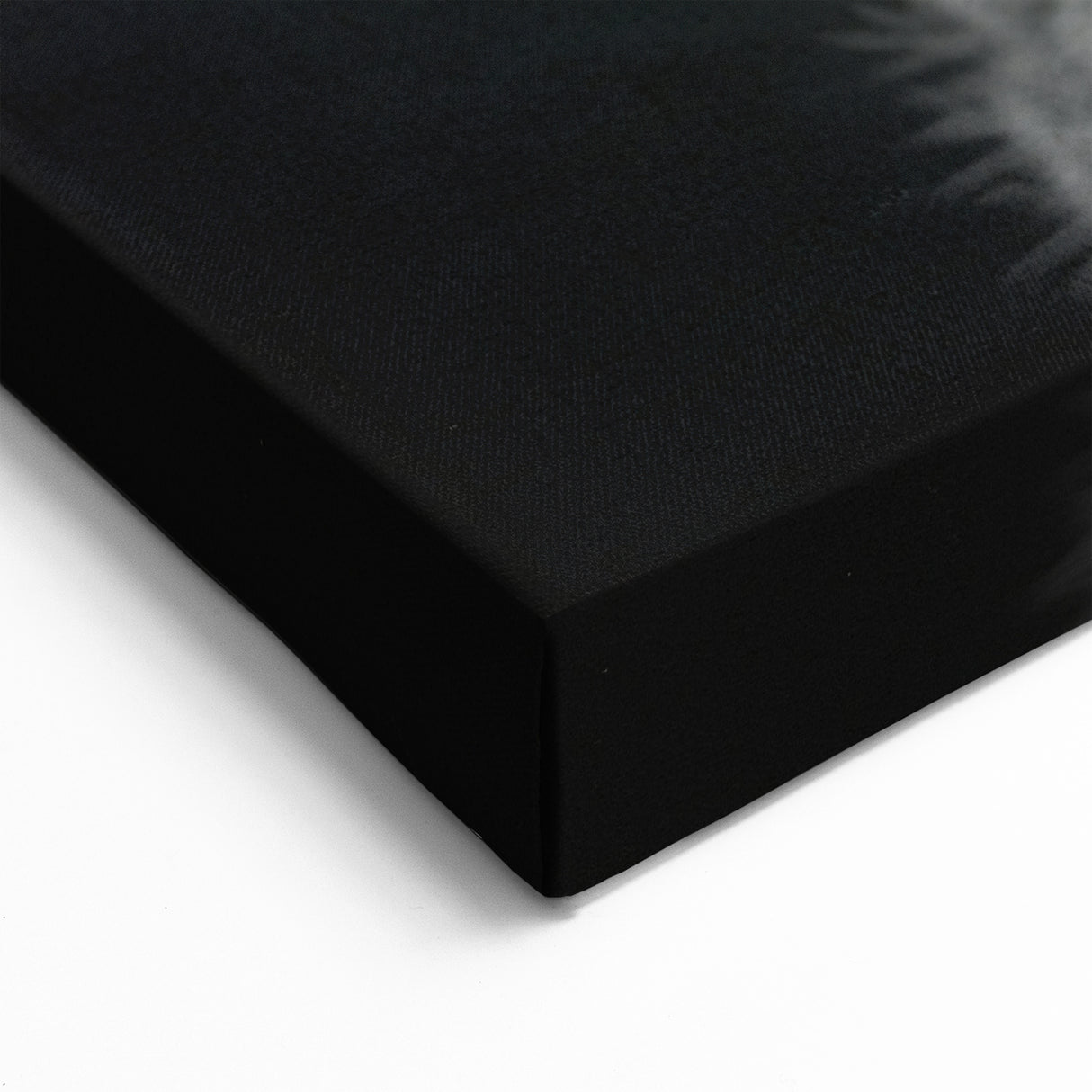 Koala Acrylic Glass Art - Elegant Black & White Wildlife Photography