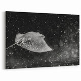 Mystical Ray Wall Art - Stunning Black & White Marine Life Print
