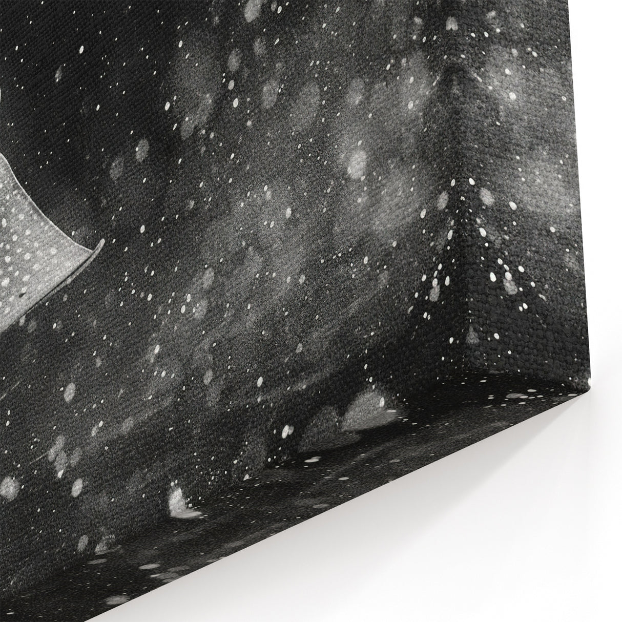 Mystical Ray Wall Art - Stunning Black & White Marine Life Print