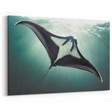 Radiant Ray Wall Art - Sunlit Marine Life Canvas & Framed Prints