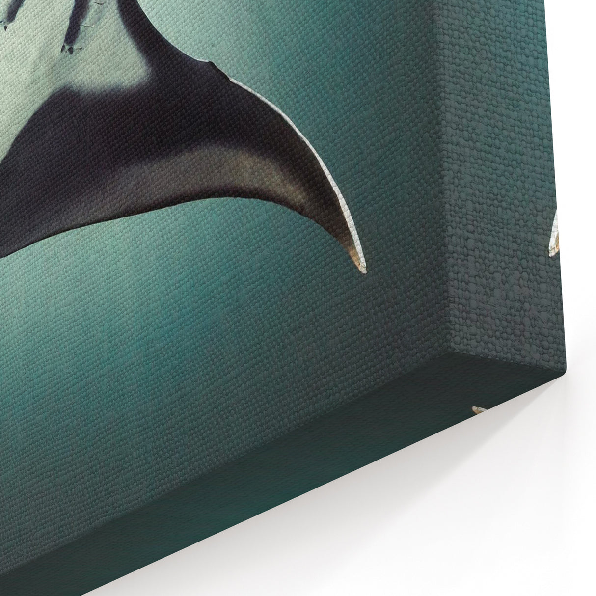 Radiant Ray Wall Art - Sunlit Marine Life Canvas & Framed Prints