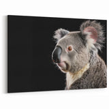 Koala Framed Canvas - Striking Wildlife Portrait in Dark Elegance