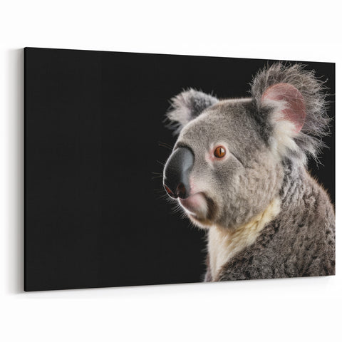 Koala Framed Canvas - Striking Wildlife Portrait in Dark Elegance