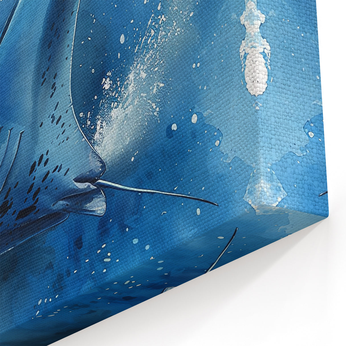 Vibrant Ray Wall Art - Dynamic Marine Life Canvas & Framed Prints