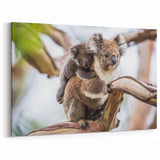 Adorable Koala Wall Art - Koala Canvas Print for Australian Wildlife Lovers