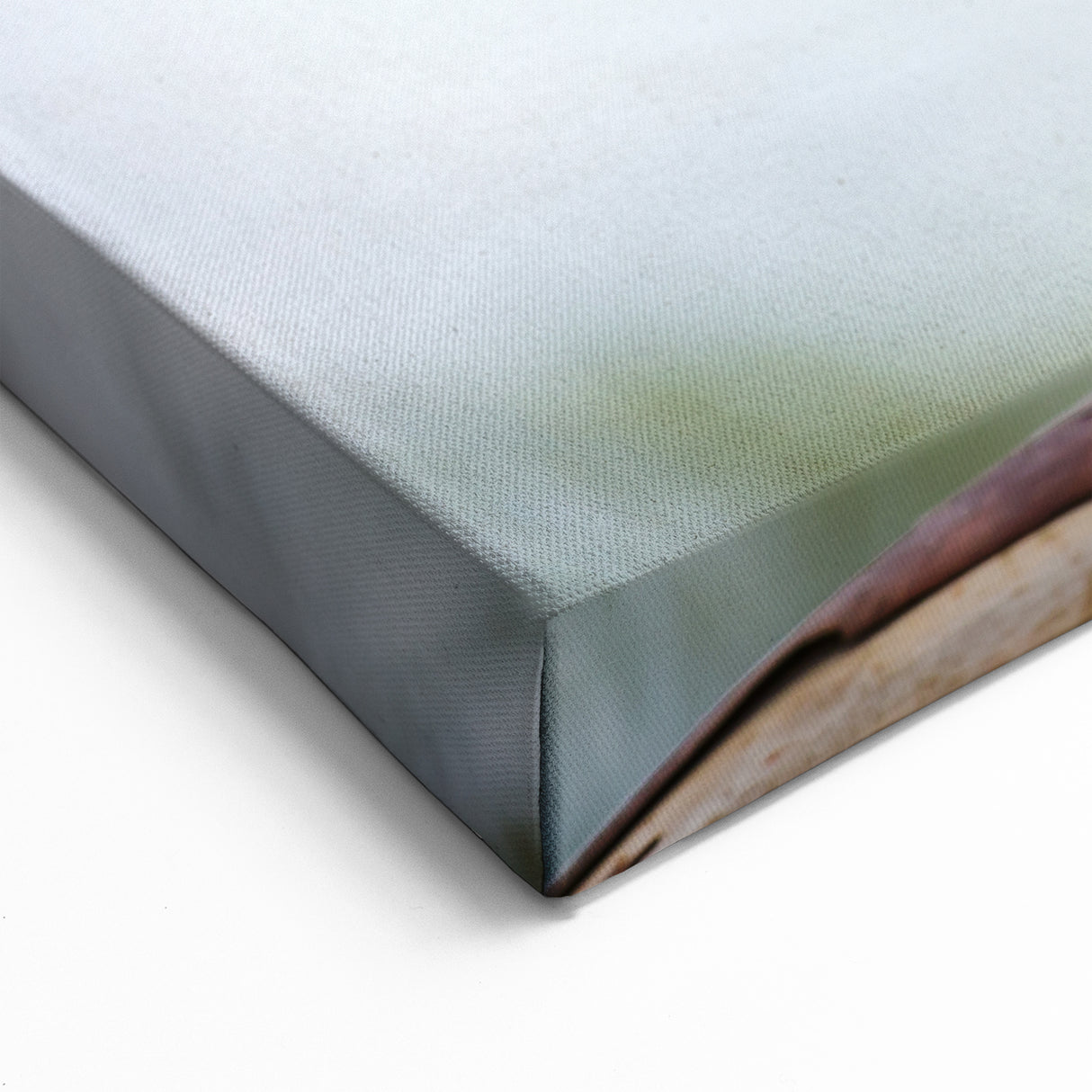 Adorable Koala Wall Art - Koala Canvas Print for Australian Wildlife Lovers