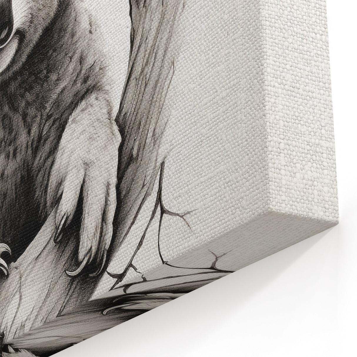 Charming Koala Wall Art - Black & White Koala Canvas Print for Animal Lovers