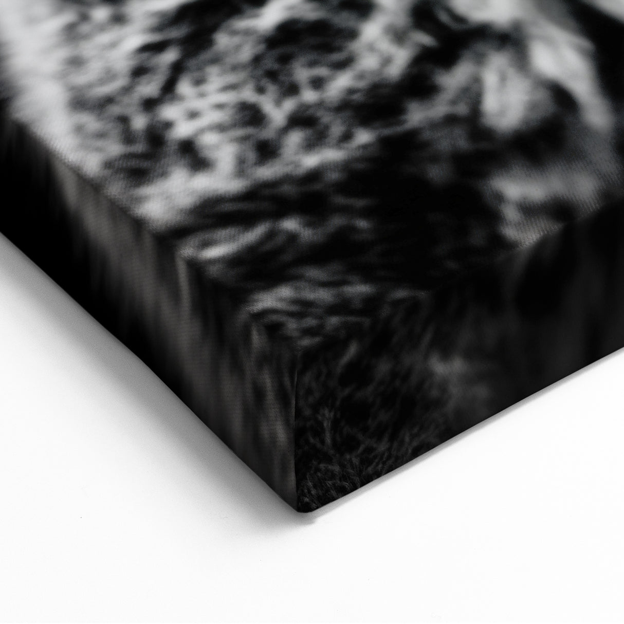 Striking Koala Wall Art - Black & White Koala Canvas Print for Modern Decor