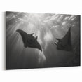 Ethereal Ray Wall Art - Serene Black & White Marine Life Prints