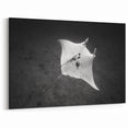 Minimalist Ray Wall Art - Striking Black & White Marine Life Prints