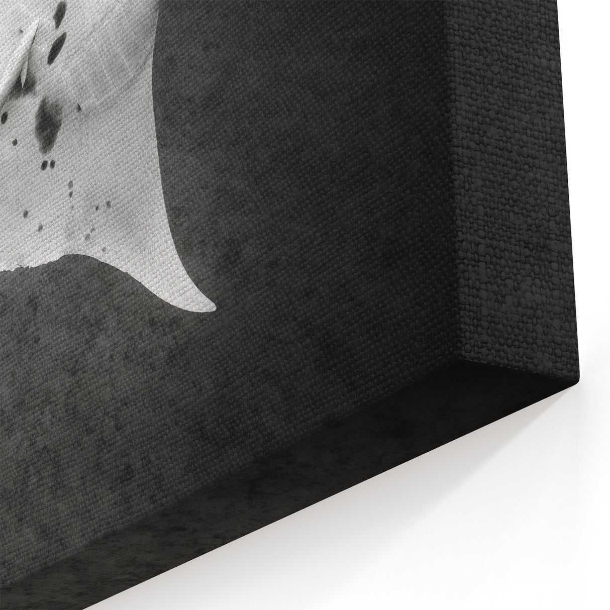 Minimalist Ray Wall Art - Striking Black & White Marine Life Prints