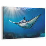 Radiant Ray Wall Art - Sunlit Marine Life Canvas & Framed Prints