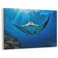 Majestic Ray Wall Art - Sunlit Marine Life Canvas & Framed Prints